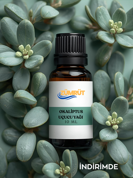 OKALİPTÜS UÇUCU YAĞ - Oda ve Ortam Kokusu - Aromatik Uçucu Yağ 10ML
