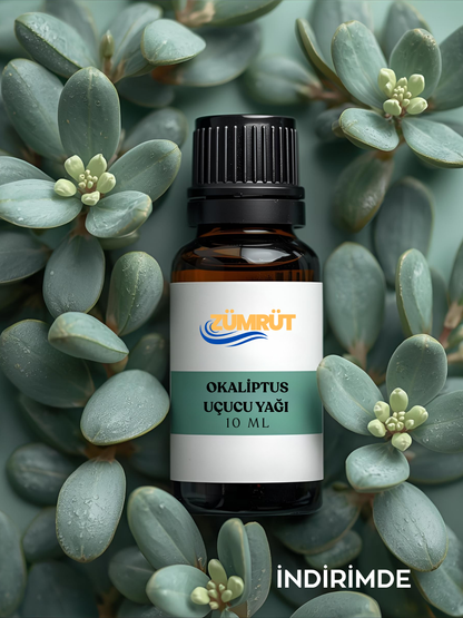 Eucalyptus Essential Oil - Room and Ambient Fragrance - Aromatic Essential Oil 10ML 
